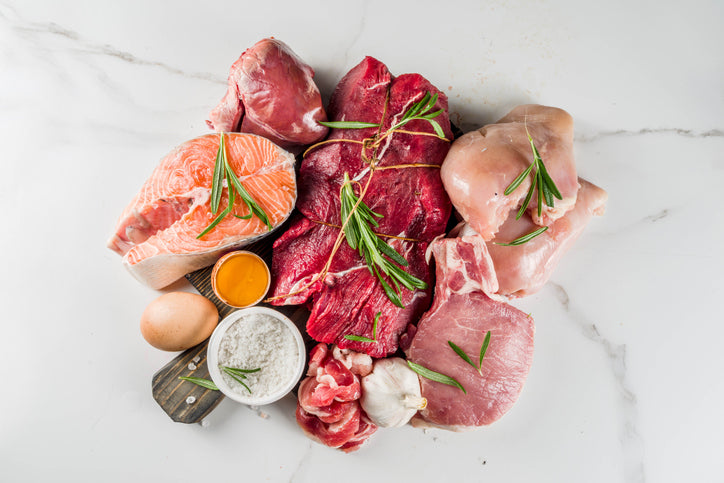 Carnivore diet proteins