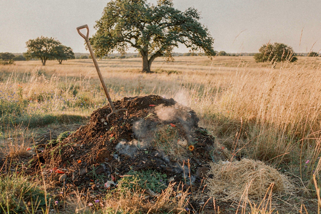 Steaming compost pile of cattle manure and hay with a pitchfork, on a North Texas ranch