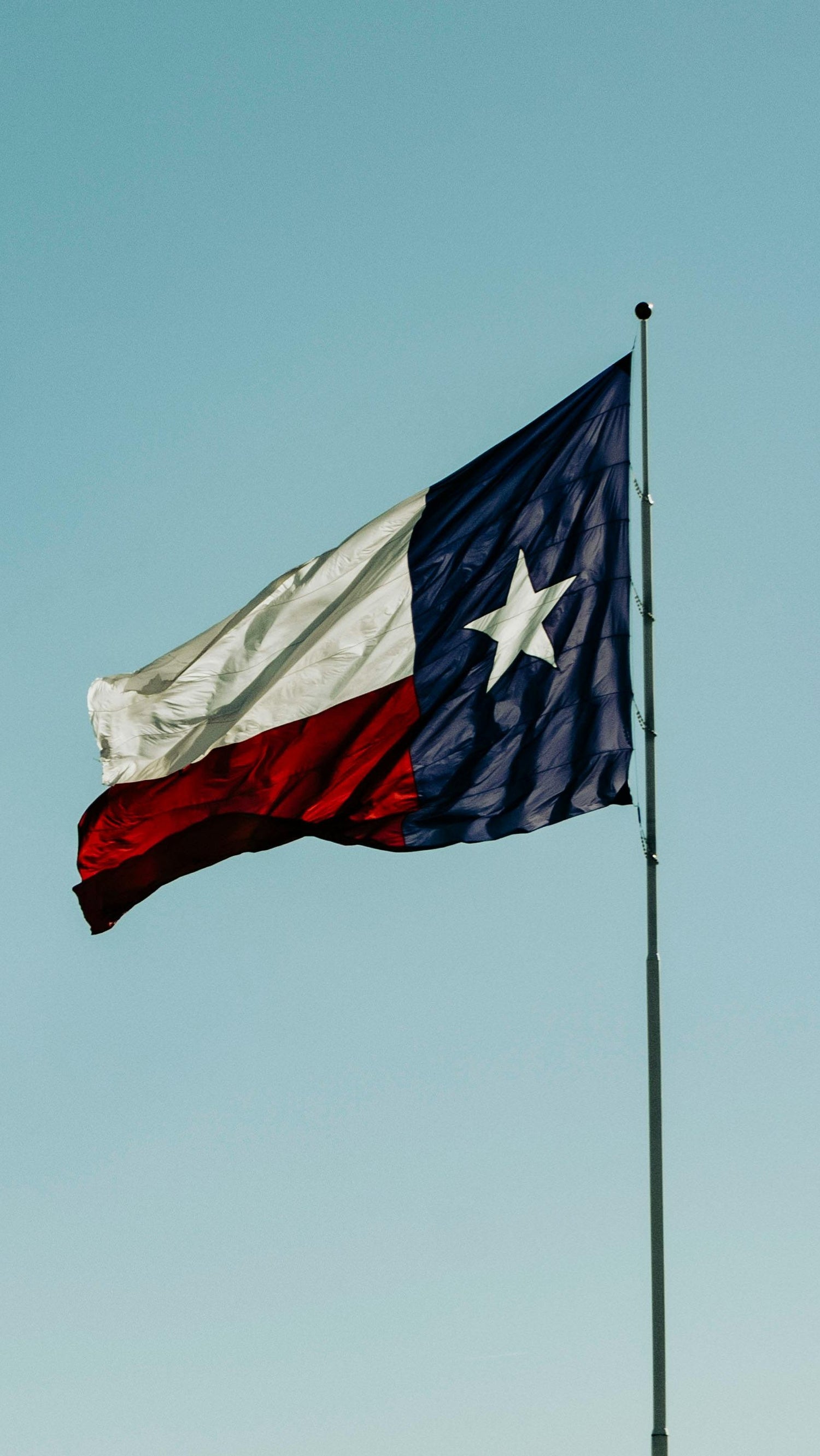 Texas grass fed beef delivery for Dallas, Houston, Austin, San Antonio